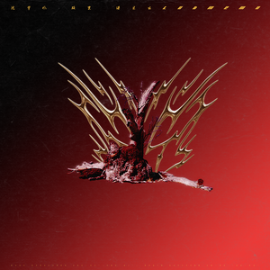 男生插入女生视频
